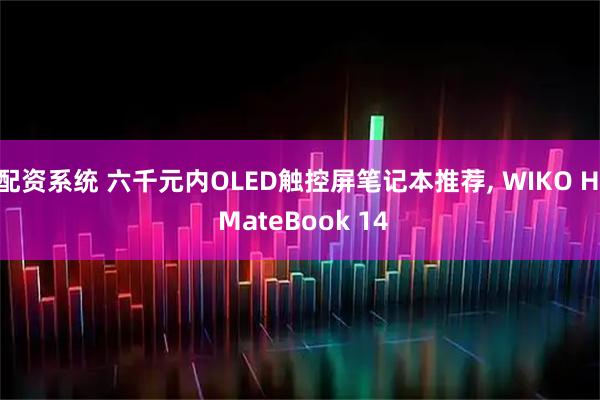 配资系统 六千元内OLED触控屏笔记本推荐, WIKO Hi MateBook 14